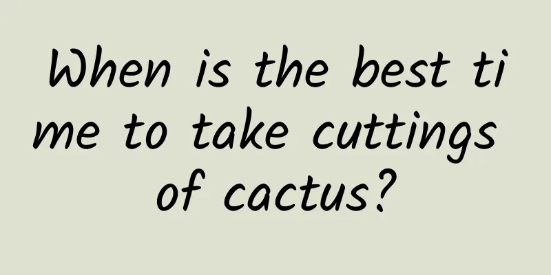 When is the best time to take cuttings of cactus?