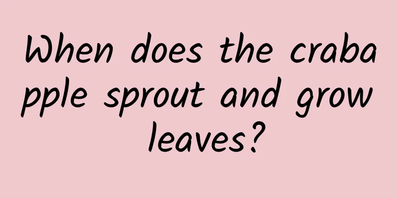 When does the crabapple sprout and grow leaves?