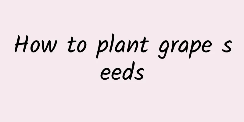 How to plant grape seeds