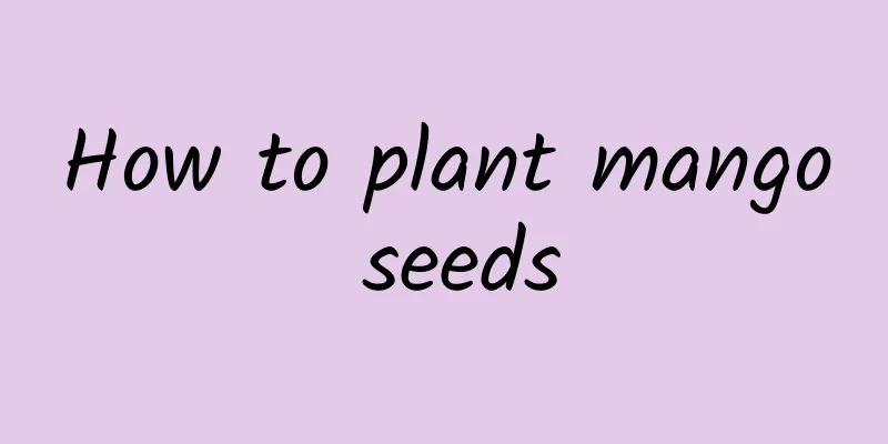 How to plant mango seeds
