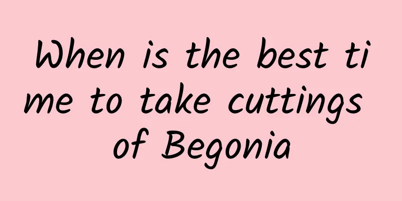 When is the best time to take cuttings of Begonia