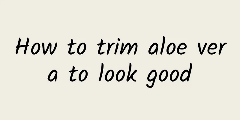 How to trim aloe vera to look good
