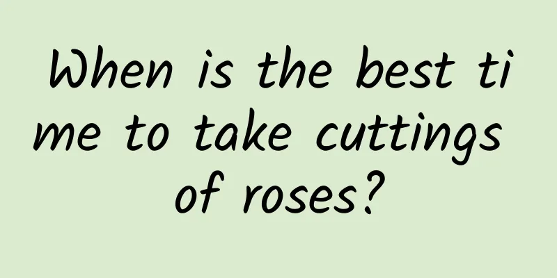 When is the best time to take cuttings of roses?