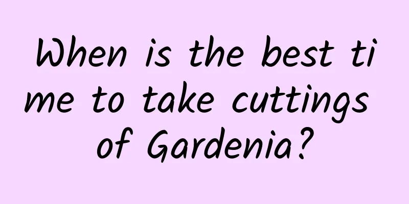 When is the best time to take cuttings of Gardenia?