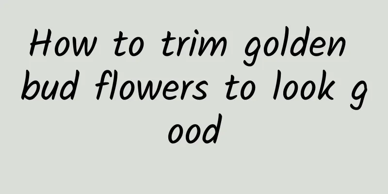 How to trim golden bud flowers to look good