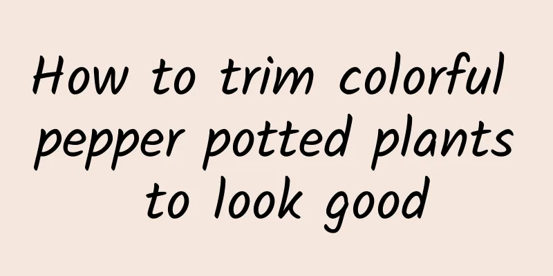 How to trim colorful pepper potted plants to look good