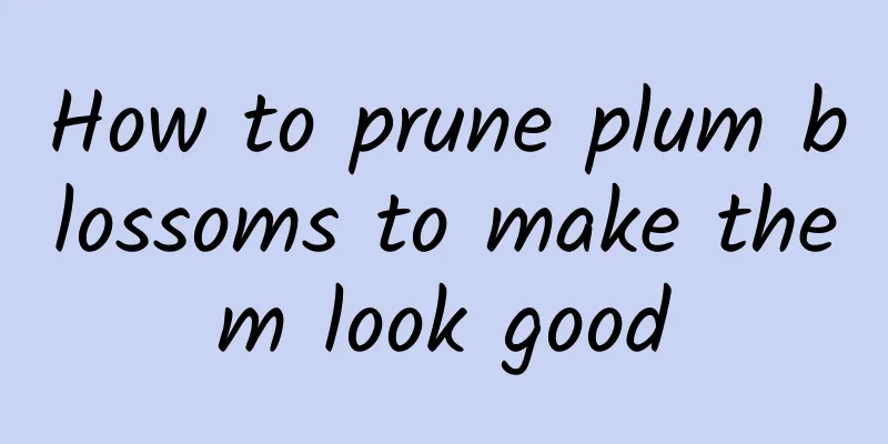 How to prune plum blossoms to make them look good