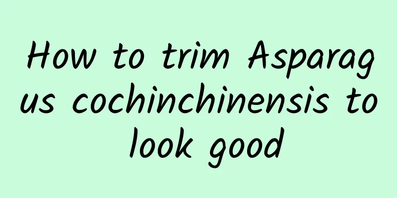 How to trim Asparagus cochinchinensis to look good