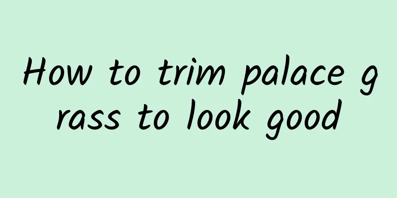 How to trim palace grass to look good
