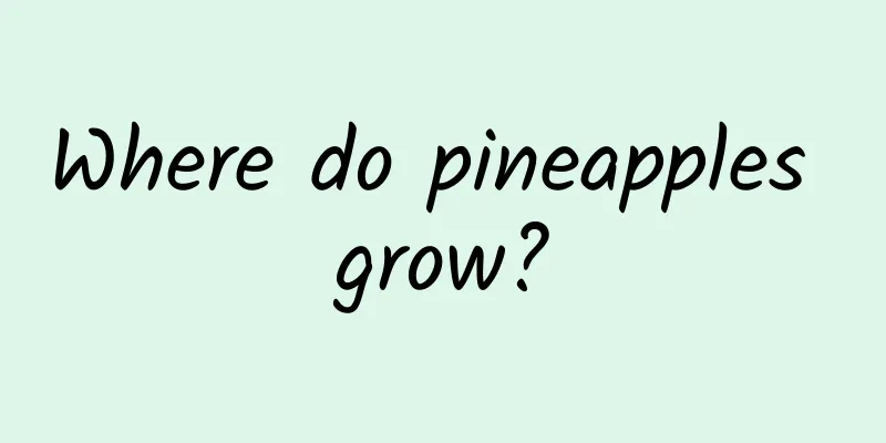 Where do pineapples grow?