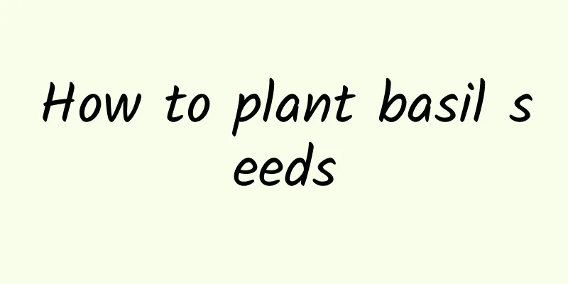 How to plant basil seeds