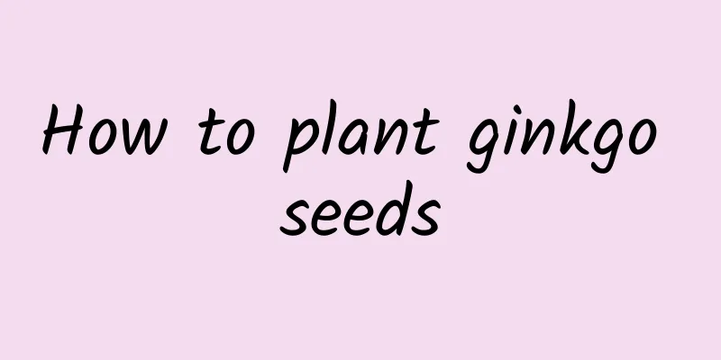 How to plant ginkgo seeds