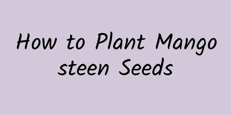 How to Plant Mangosteen Seeds