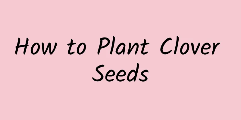 How to Plant Clover Seeds