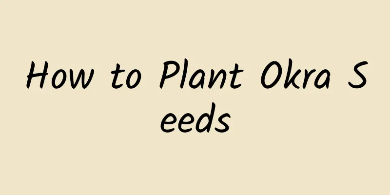 How to Plant Okra Seeds