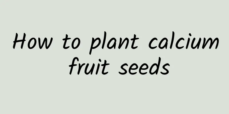 How to plant calcium fruit seeds