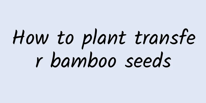How to plant transfer bamboo seeds
