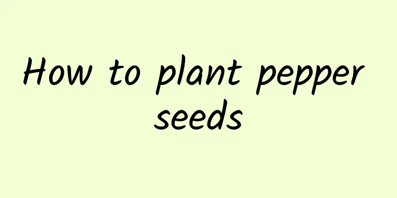 How to plant pepper seeds