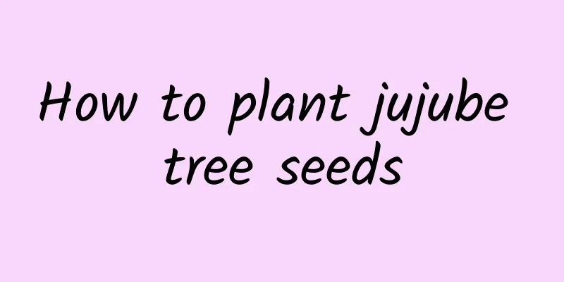 How to plant jujube tree seeds