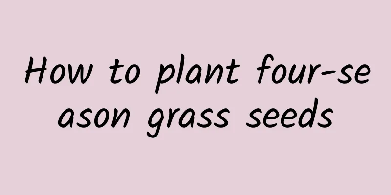How to plant four-season grass seeds