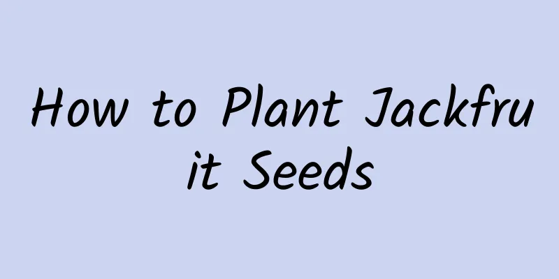 How to Plant Jackfruit Seeds