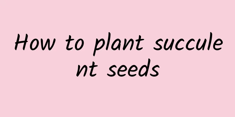 How to plant succulent seeds