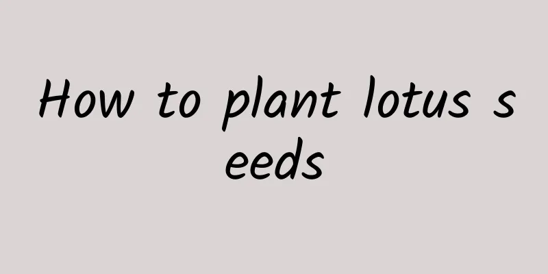 How to plant lotus seeds