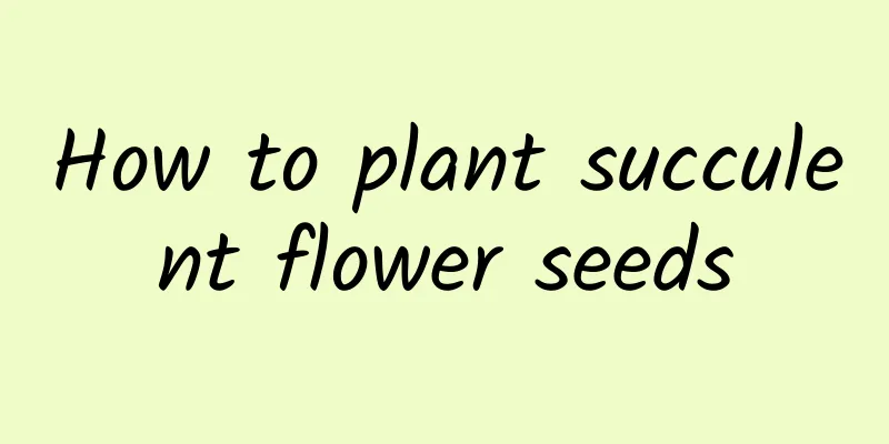 How to plant succulent flower seeds