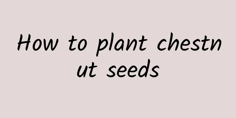 How to plant chestnut seeds