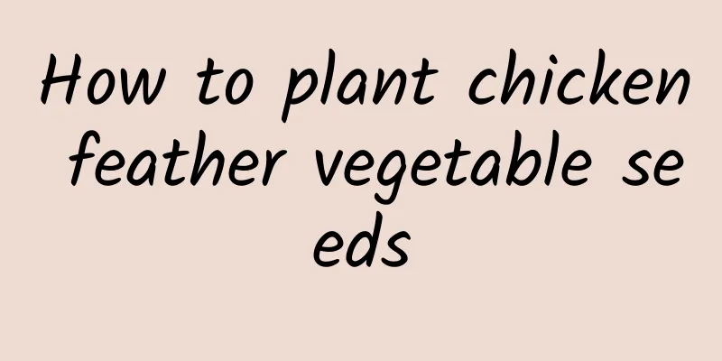 How to plant chicken feather vegetable seeds