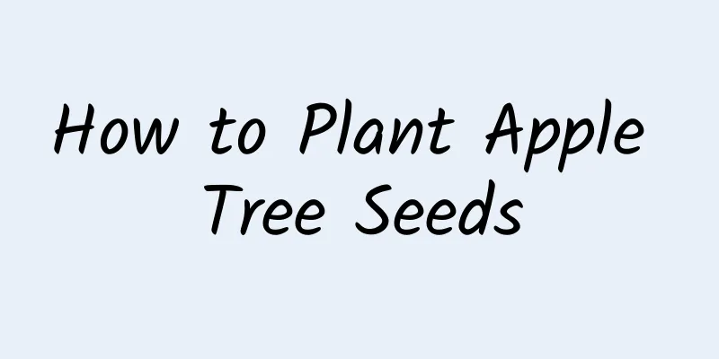 How to Plant Apple Tree Seeds