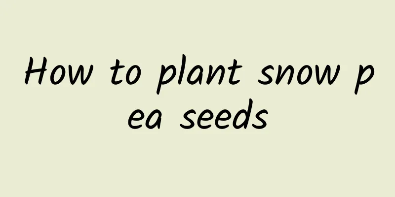 How to plant snow pea seeds