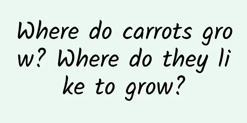 Where do carrots grow? Where do they like to grow?