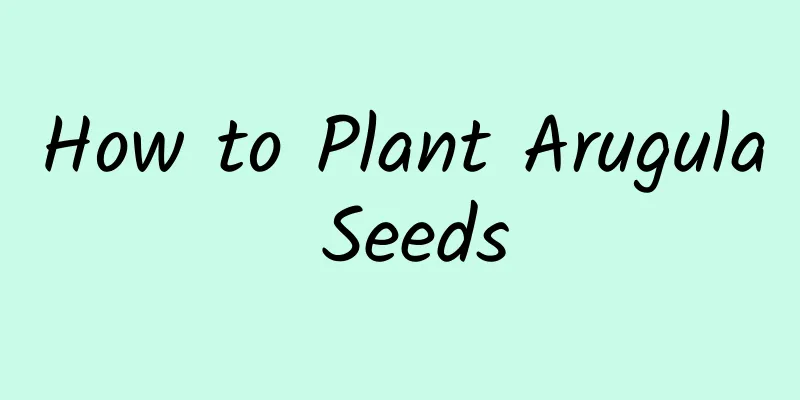 How to Plant Arugula Seeds