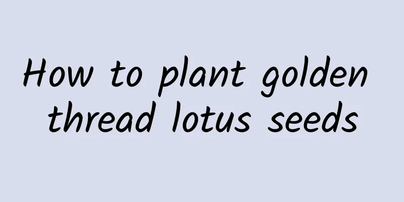 How to plant golden thread lotus seeds