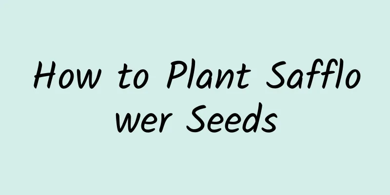 How to Plant Safflower Seeds