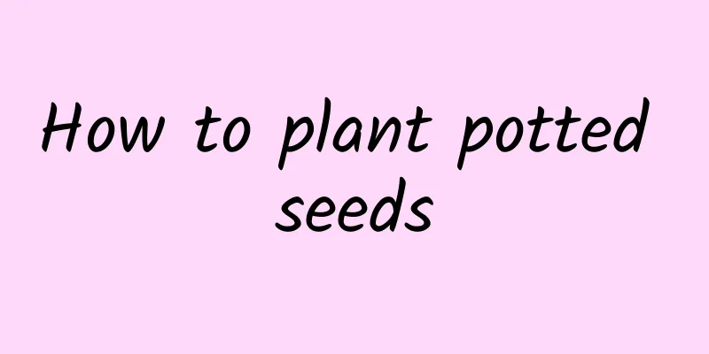 How to plant potted seeds