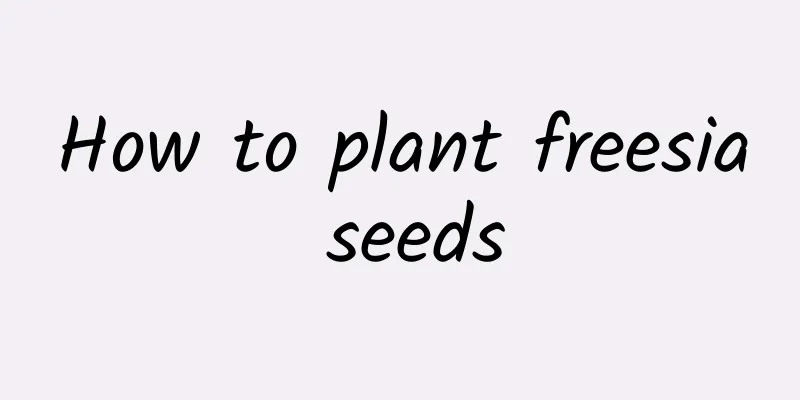 How to plant freesia seeds