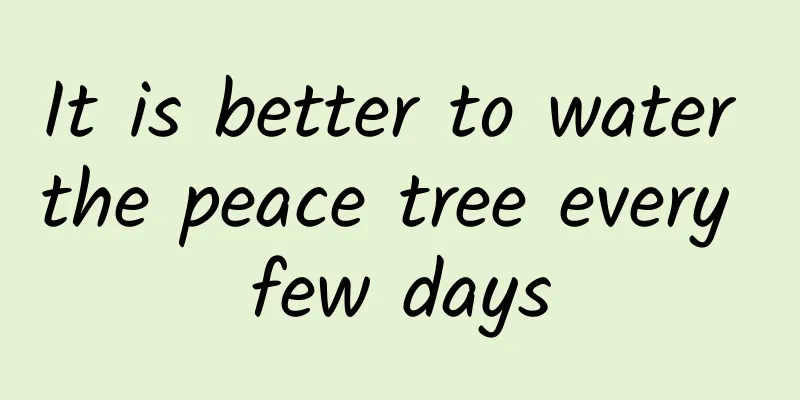 It is better to water the peace tree every few days