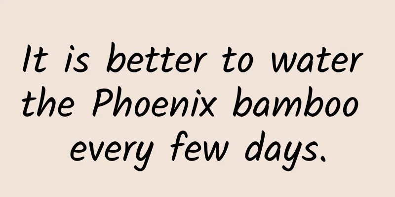 It is better to water the Phoenix bamboo every few days.