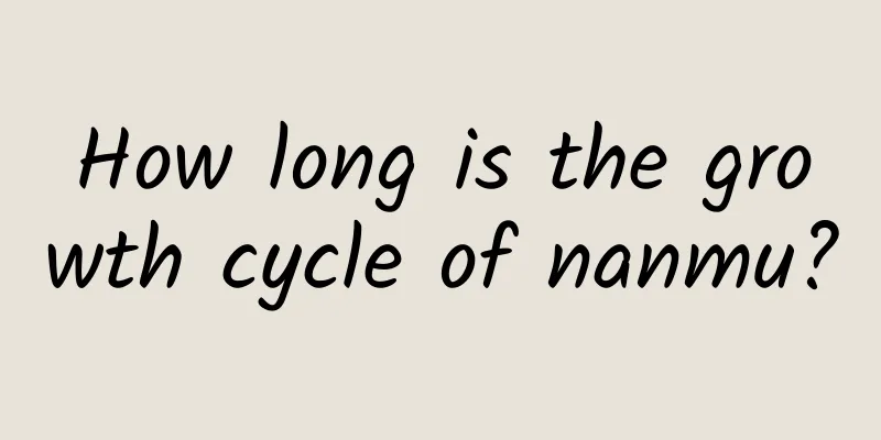 How long is the growth cycle of nanmu?