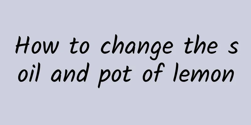 How to change the soil and pot of lemon
