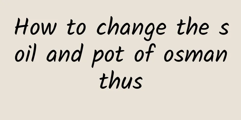 How to change the soil and pot of osmanthus