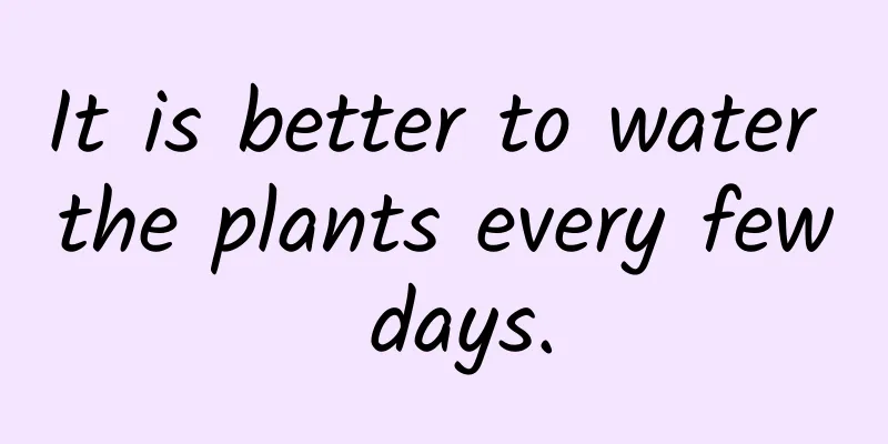 It is better to water the plants every few days.