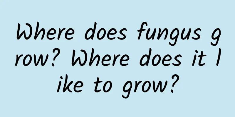 Where does fungus grow? Where does it like to grow?