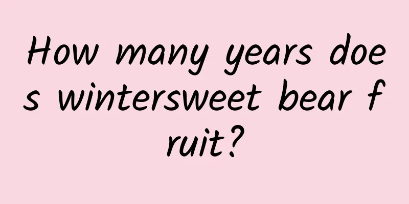 How many years does wintersweet bear fruit?