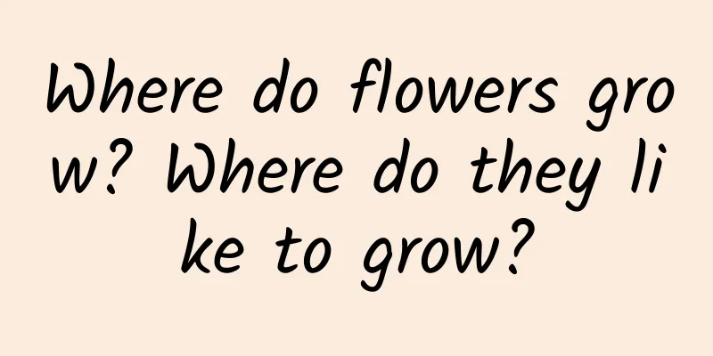 Where do flowers grow? Where do they like to grow?