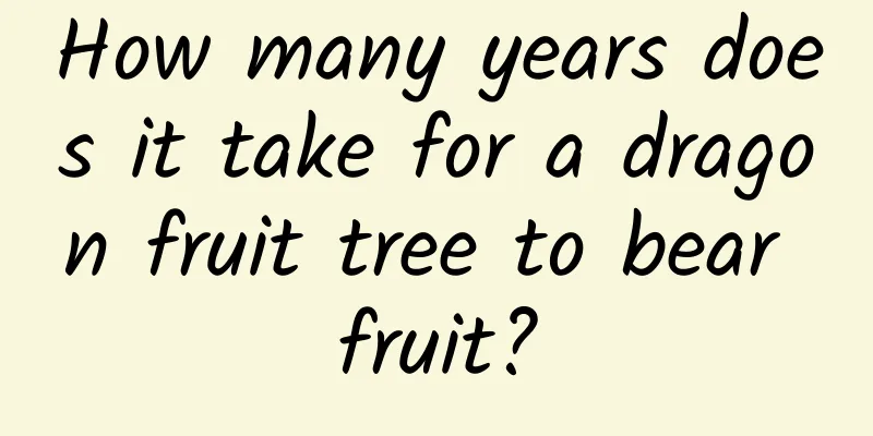 How many years does it take for a dragon fruit tree to bear fruit?