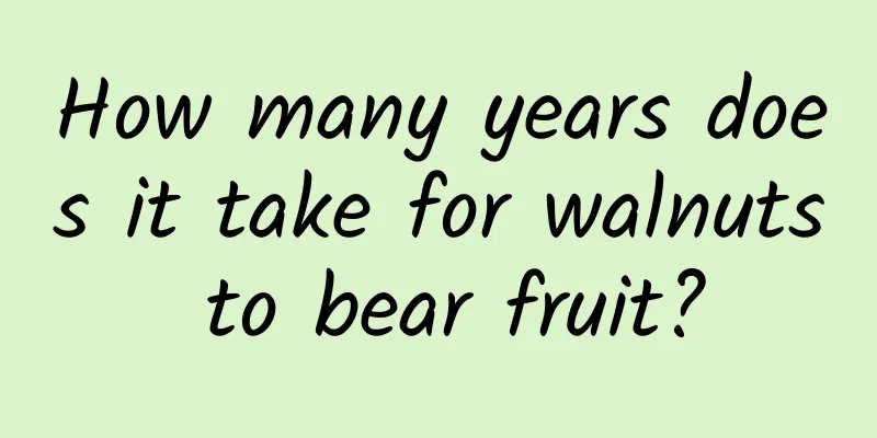 How many years does it take for walnuts to bear fruit?