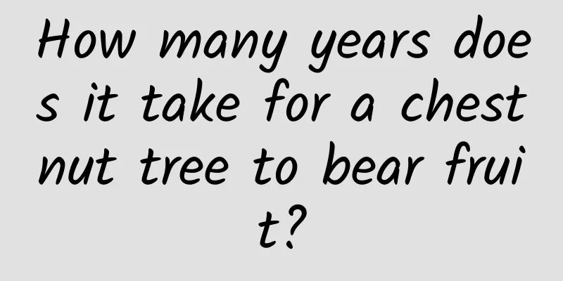 How many years does it take for a chestnut tree to bear fruit?